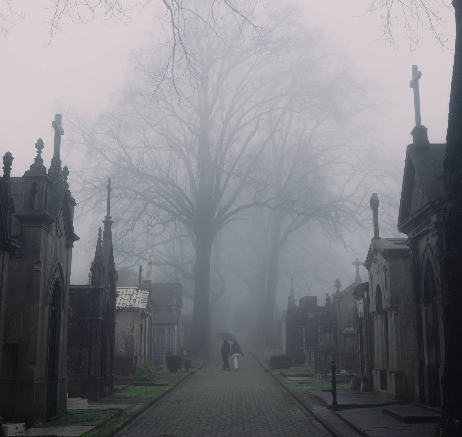Porto, portugal, cemetery, fog, city, cityscape, dark, urban, Голубев Алексей