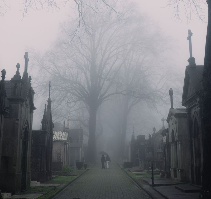 Porto, portugal, cemetery, fog, city, cityscape, dark, urban Porto фото превью