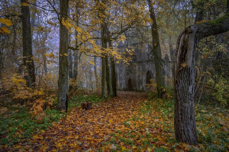фото превью