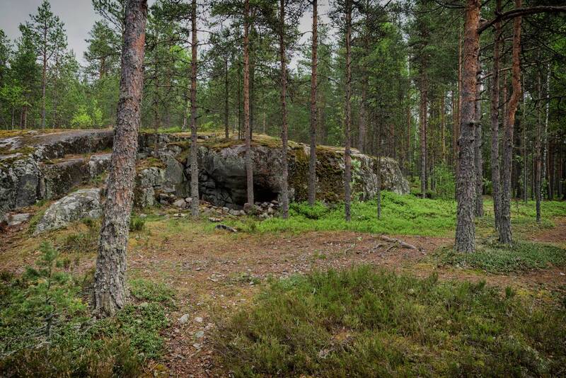 карелия., лес., койонсаари.  фото превью