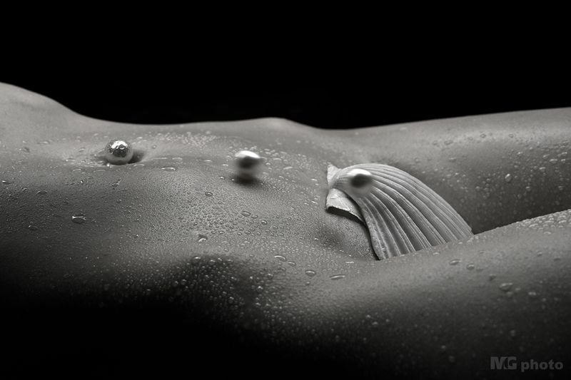 Body & shell #06 фото превью