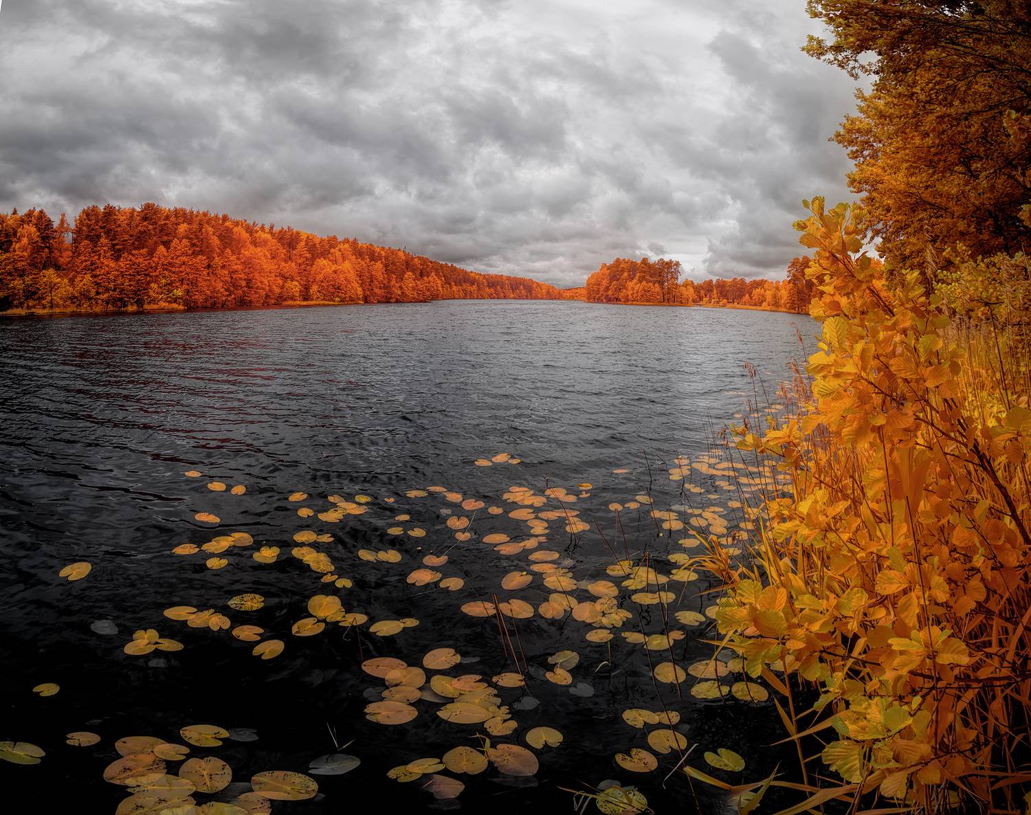 лето, пейзаж, infrared, инфракрасное фото, инфракрасная фотография,  Sixten (Сергей)