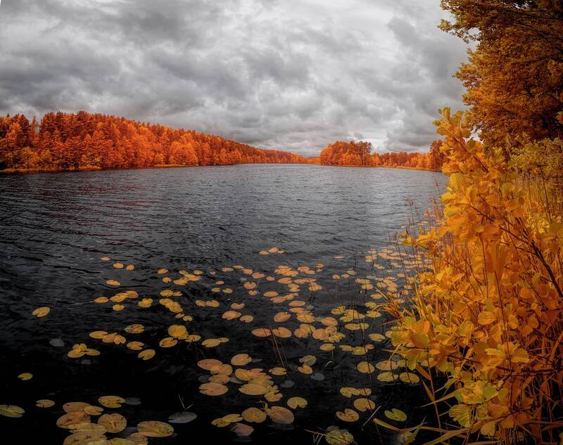 лето, пейзаж, infrared, инфракрасное фото, инфракрасная фотография Пасмурное лето фото превью