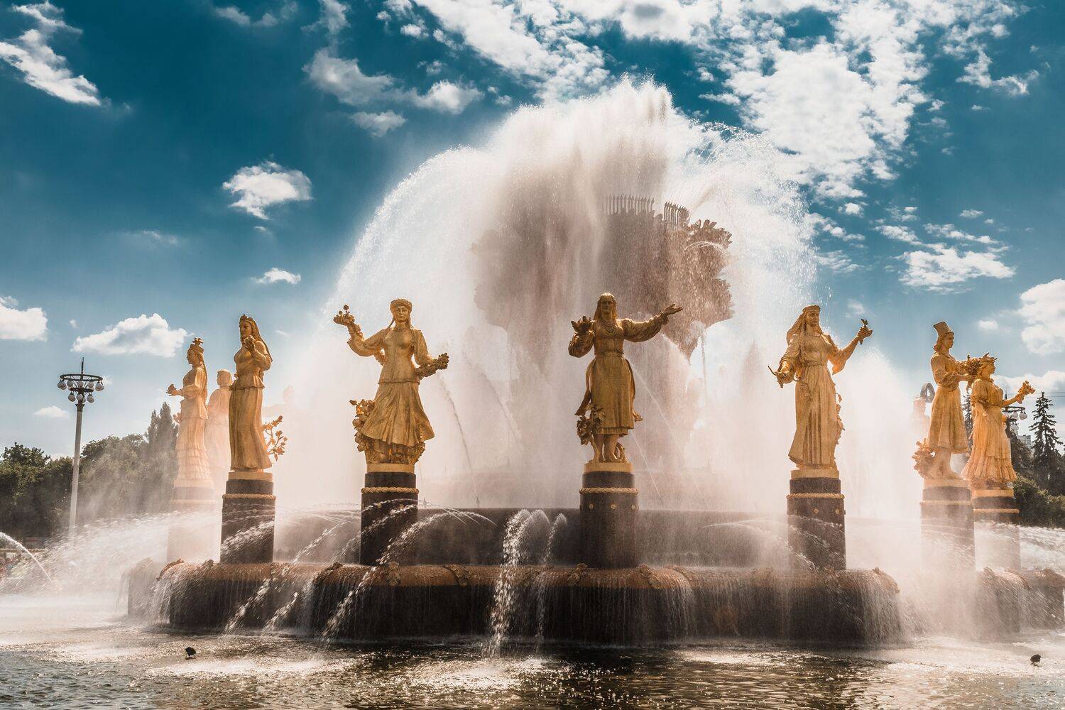 , Трепольский Дмитрий
