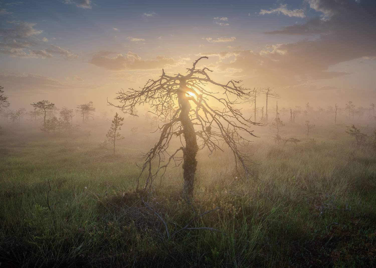 , Ivan Glinskiy