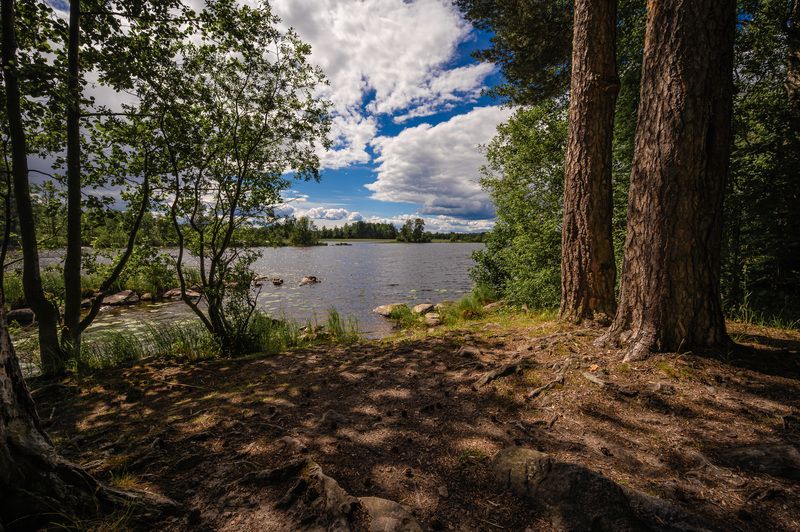 вуокса, лето Летний день на реке. фото превью