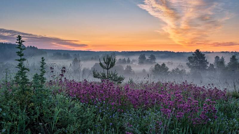 * фото превью