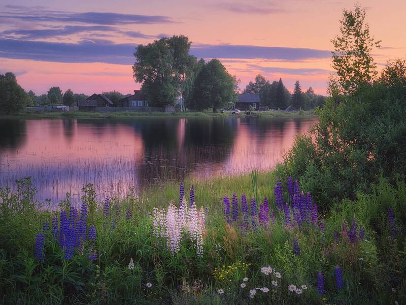 Вечерние сельские сумерки фото превью