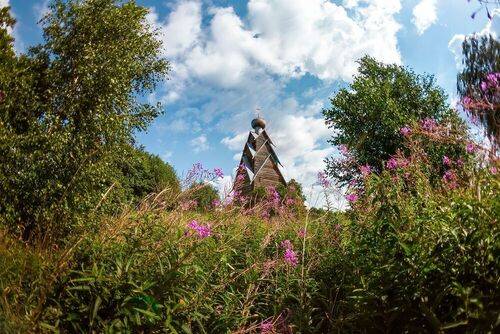 Лето в Ширково