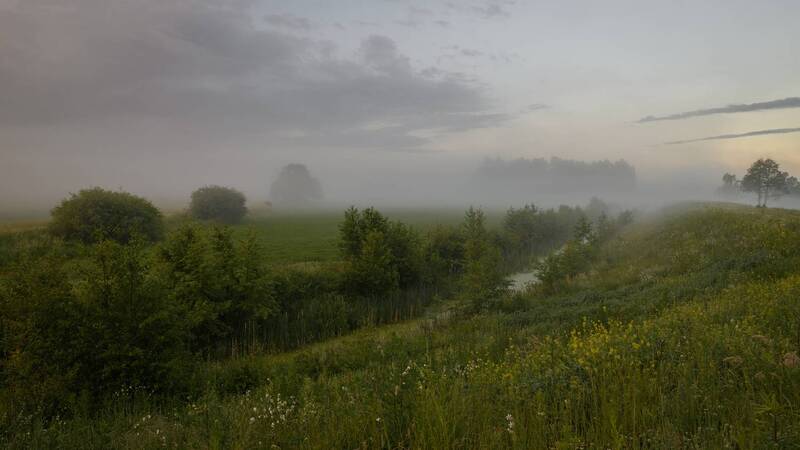 лето, июнь, утро, туман, деревья, канал, лес, трава Июньское утро... фото превью