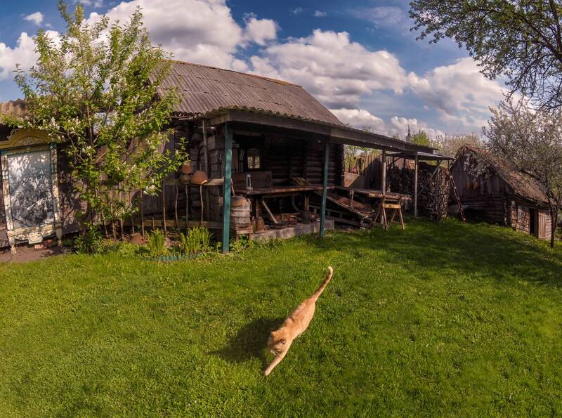 кошка, дом, кринки, дрова, баня Подворье фото превью