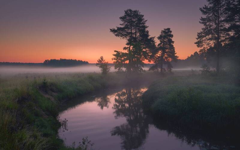 Ковром туман  ... фото превью