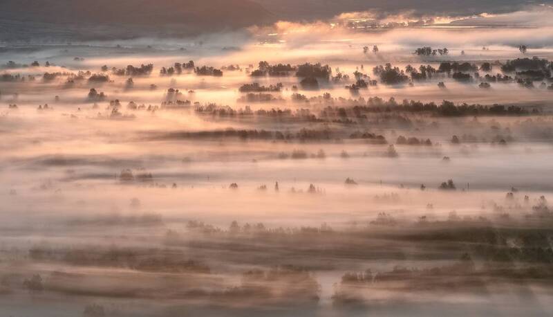 Сибирская саванна фото превью