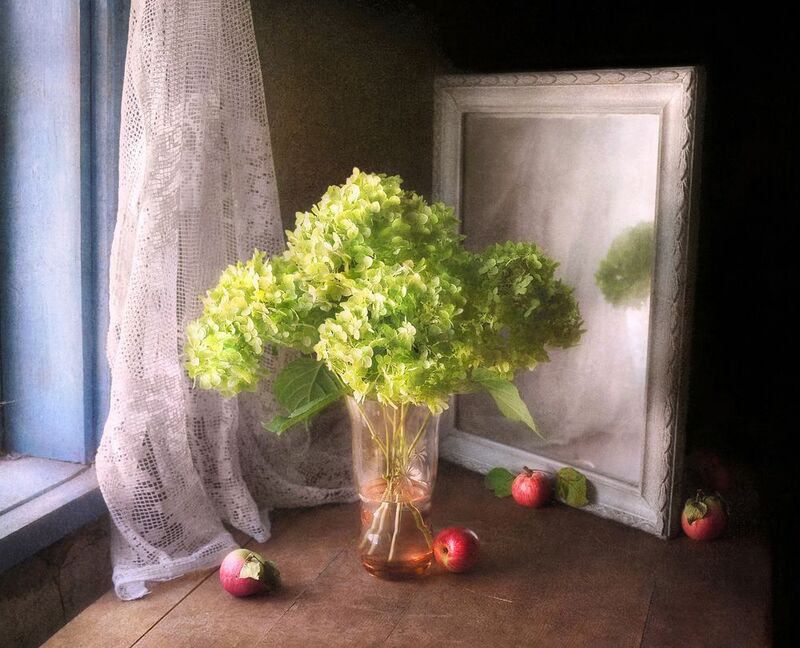 натюрморт, лето, яблоки, гортензия, зеркало, still life, summer mood, soft light, apples, старый дом, mirror Со старым зеркалом  фото превью