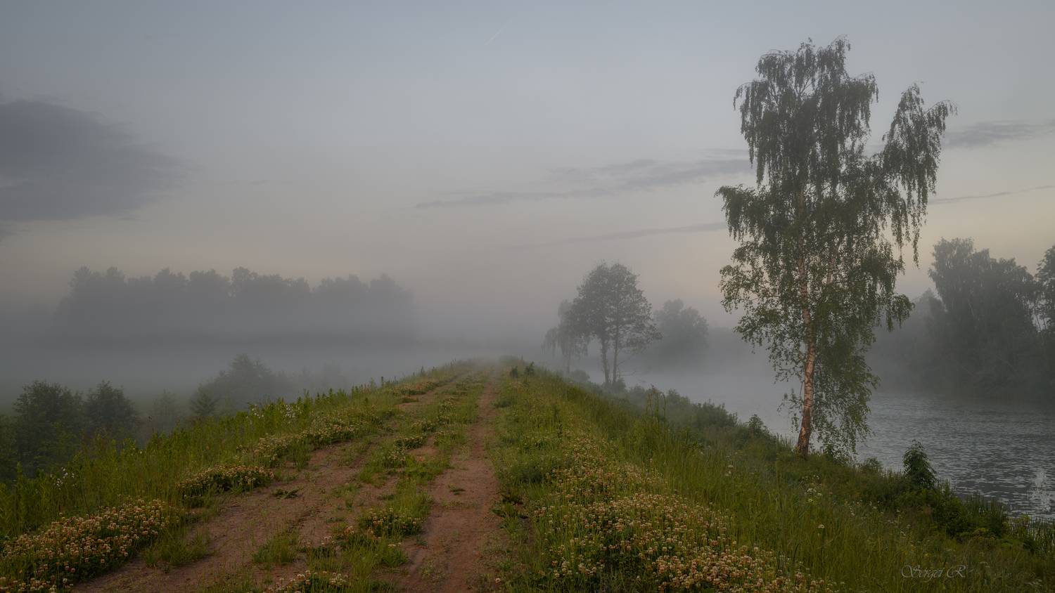 лето, июнь, туман, лес, деревья, дорога, Рытиков Сергей