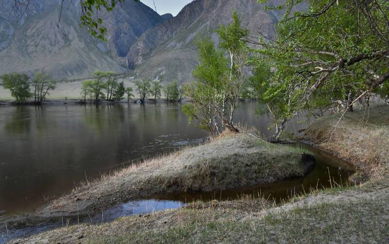 Летний Алтай фото превью