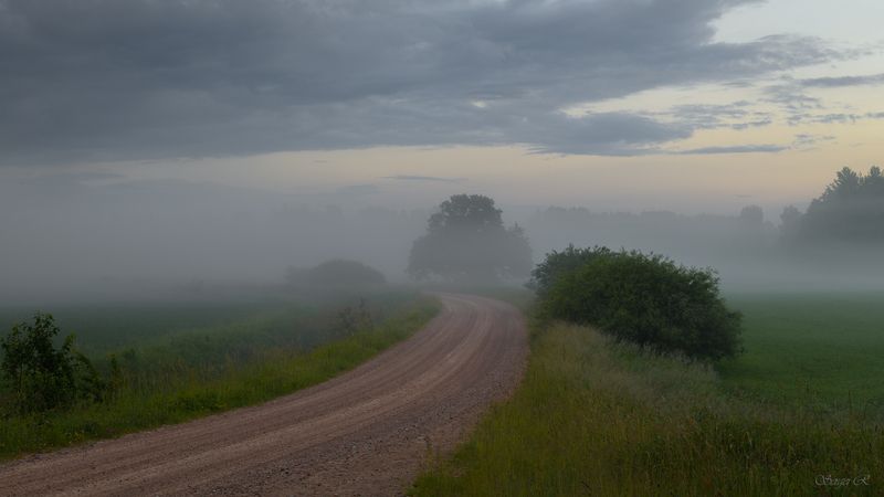 лето, июнь, туман, утро, дорога, кусты, деревья В утренний туман... фото превью