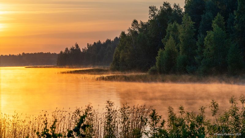 лето, раннее утро, рассвет, туман, озеро, мещёра, рязанская область Золотой рассвет фото превью