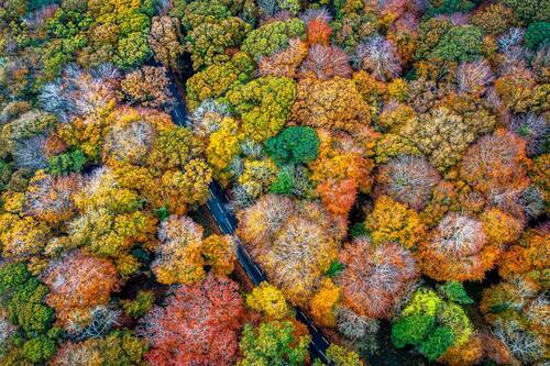 Autumn fireworks 2