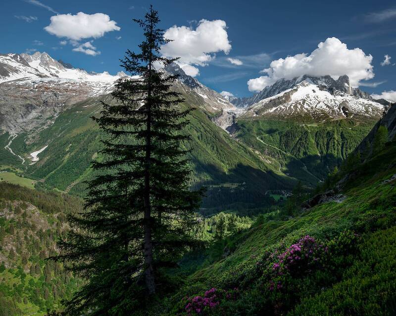 Le Tour-Fr фото превью