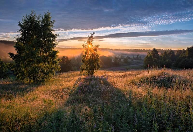 * фото превью