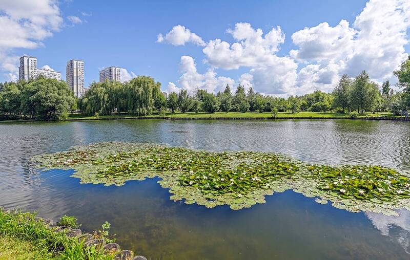 На городском пруду фото превью