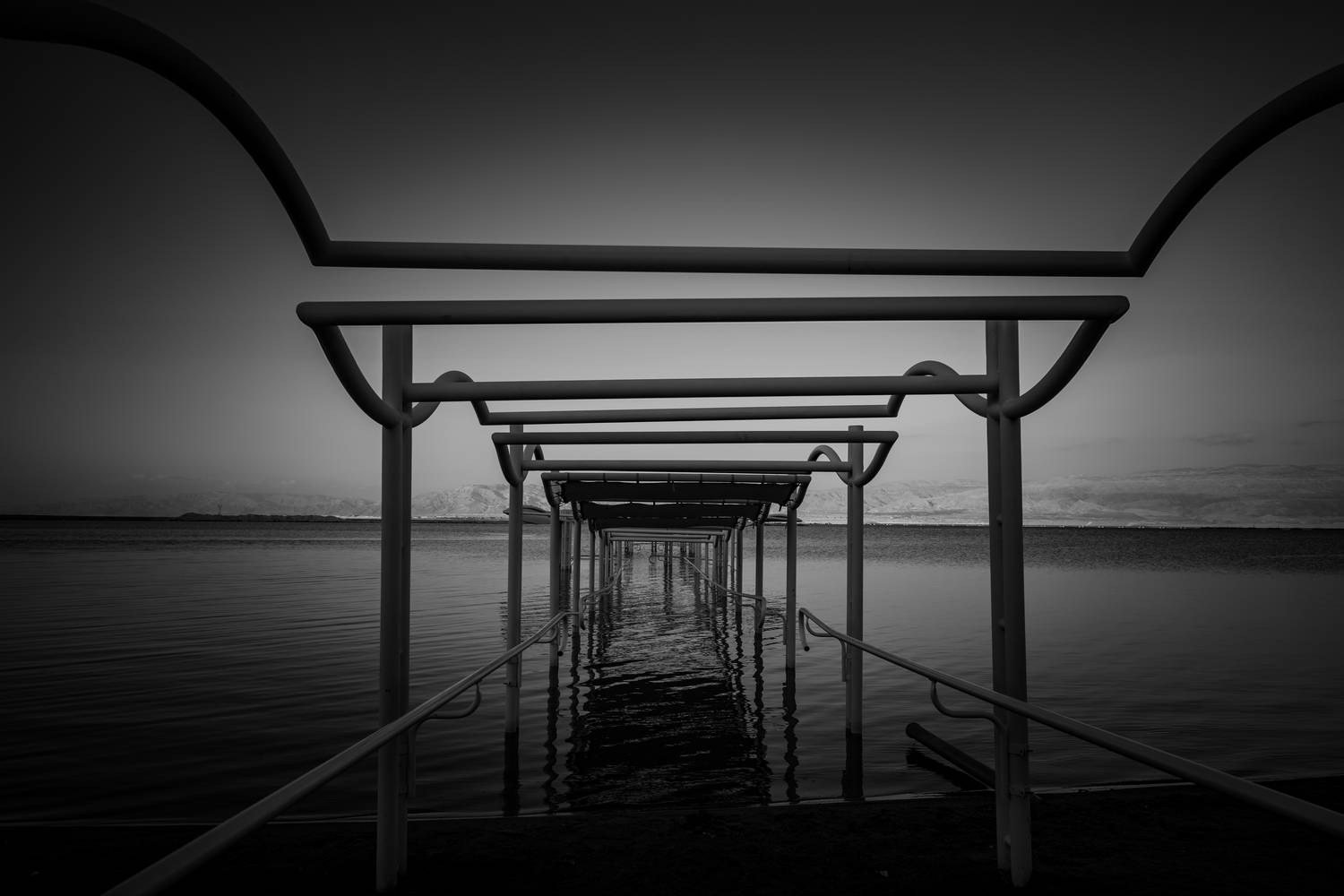 , David Solodar