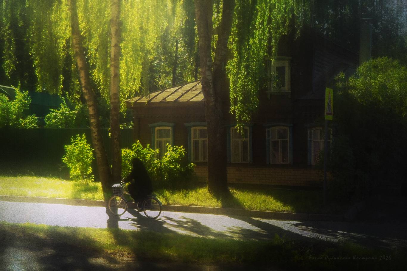 кострома, Елена Рубинская