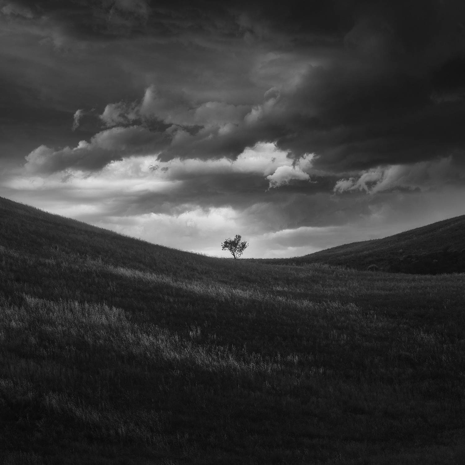 , de Franzoni Thomas