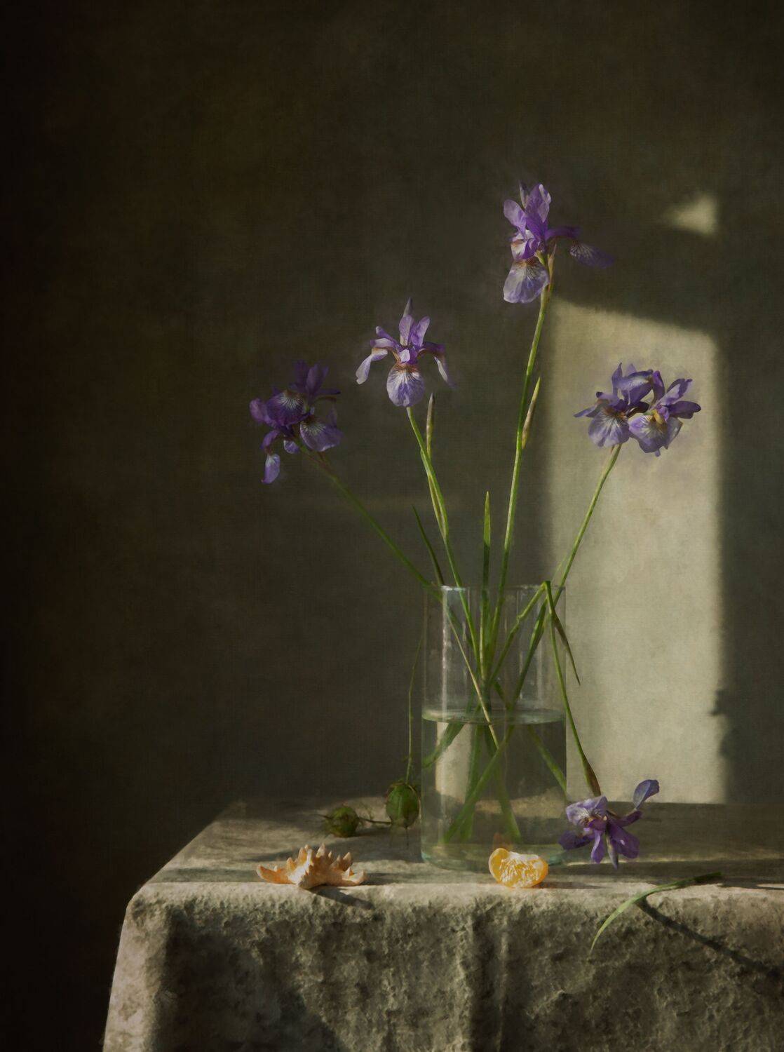 , Dina Ginevich