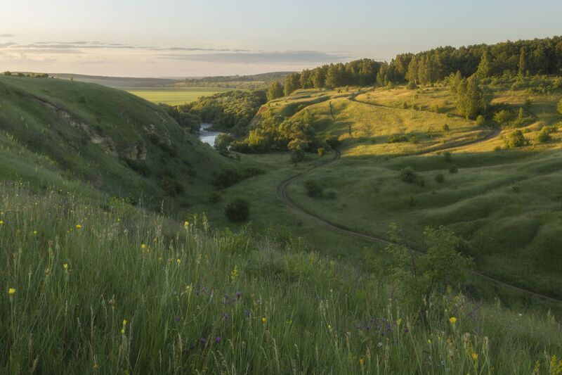фото превью
