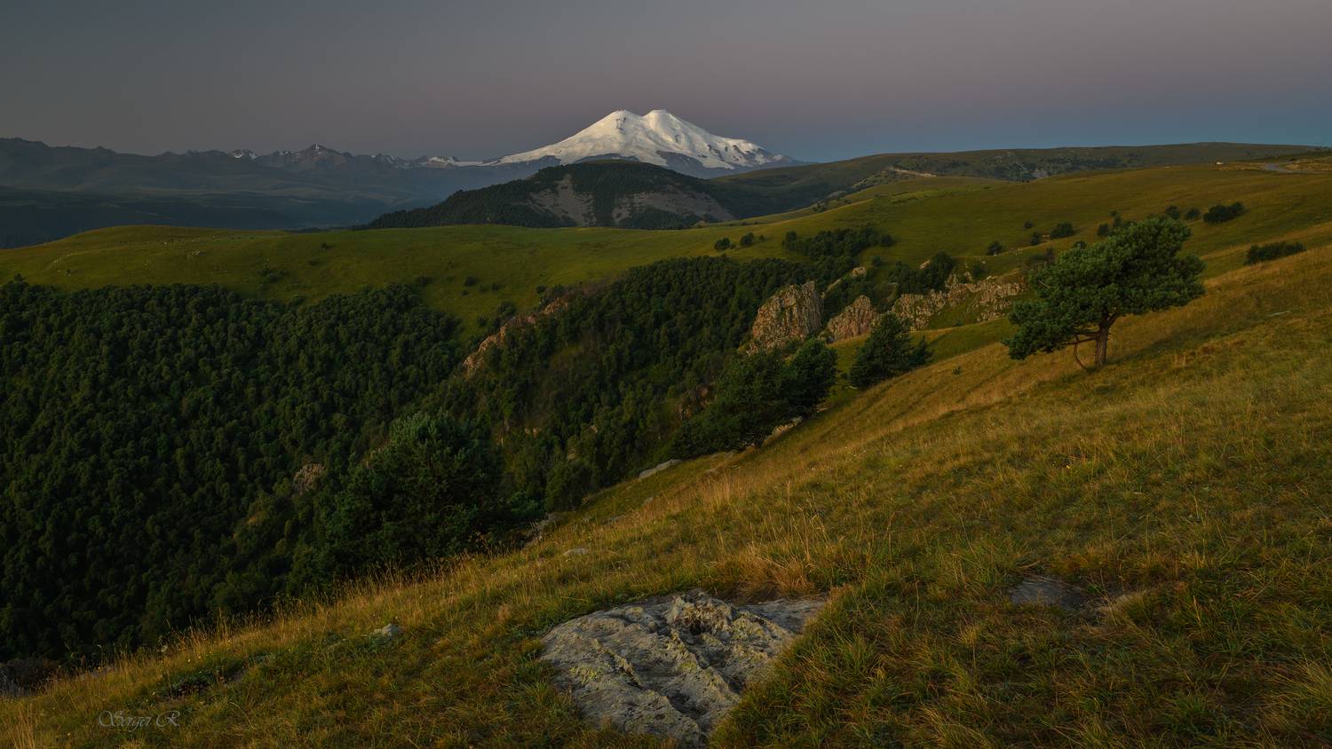 кавказ, приэльлбрусье, эльбрус, горы, лес, деревья, холмы, Рытиков Сергей