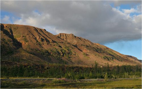 Вечерняя прогулка