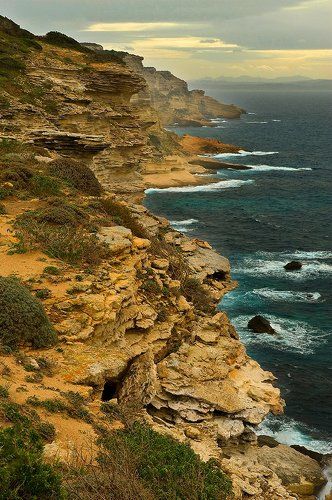 Corse