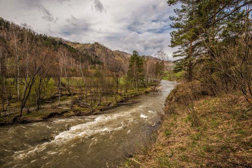 весенний Чемал