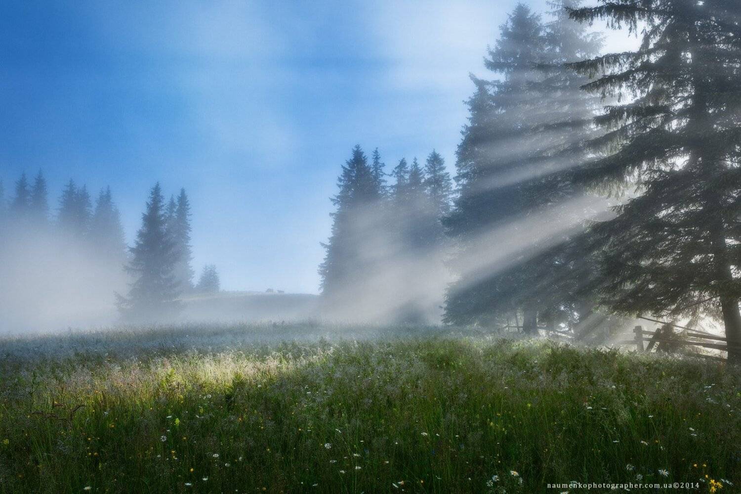 украина, карпаты, дземброня, лето, туман, лес, пейзаж, небо, утро, горы, природа, рассвет, путешествия, туризм, солнце, сцена, фон, страна, красота, туманный, цвет, земля, свет, гора, дерево, Александр Науменко