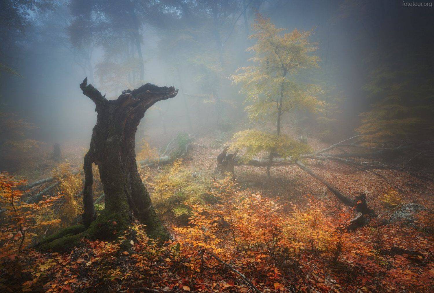 , Анатолий Гордиенко