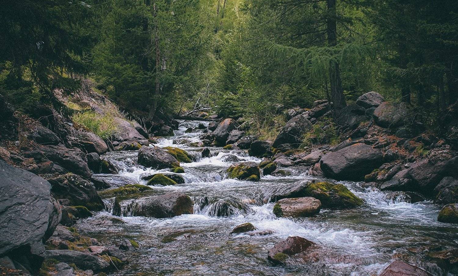 , Александр Казин