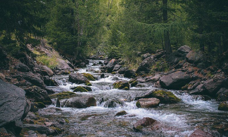 Алтайские воды фото превью