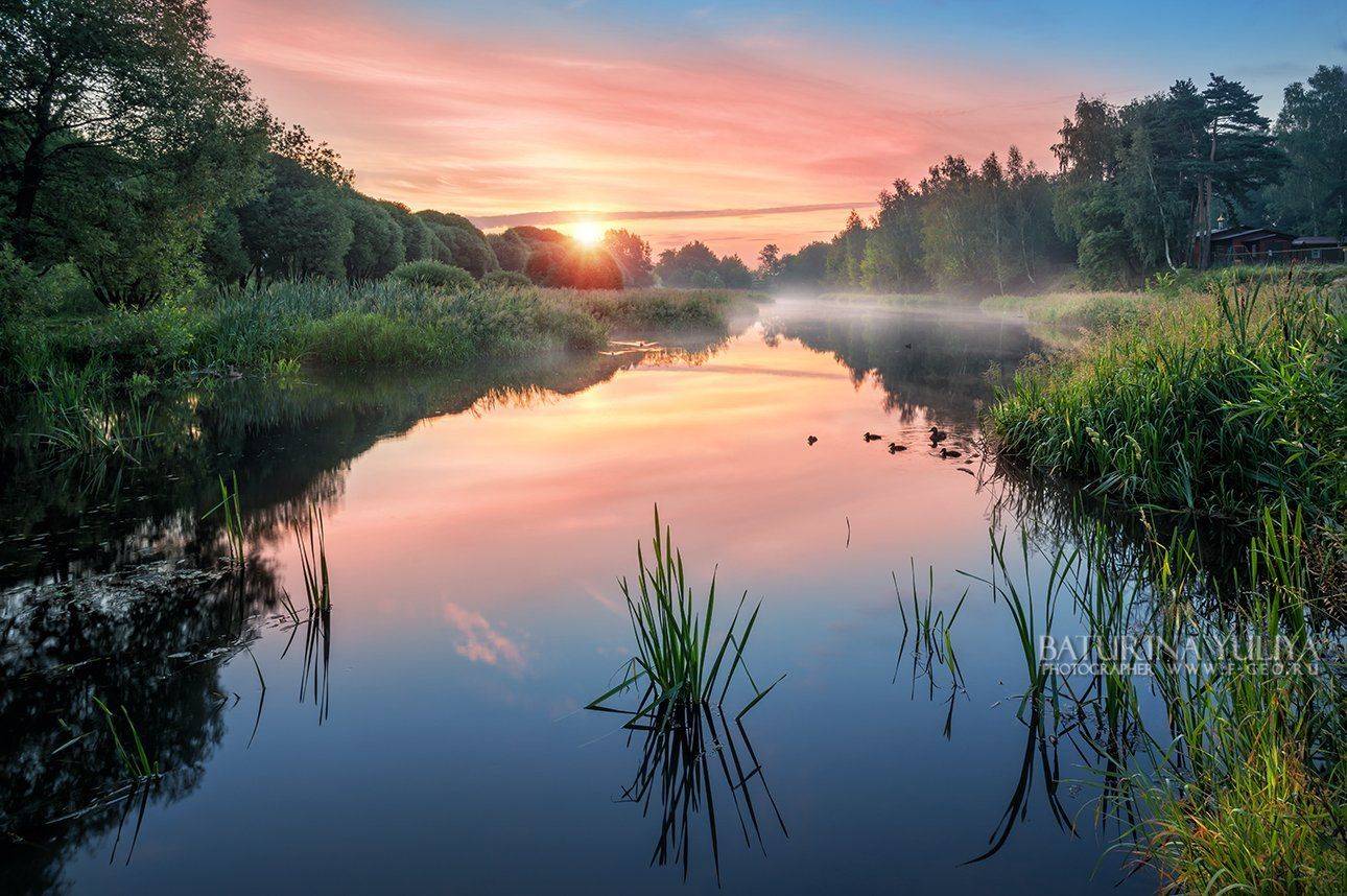 лето, пейзаж, река, осока, трава, рассвет, солнце, утки, природа, Юлия Батурина