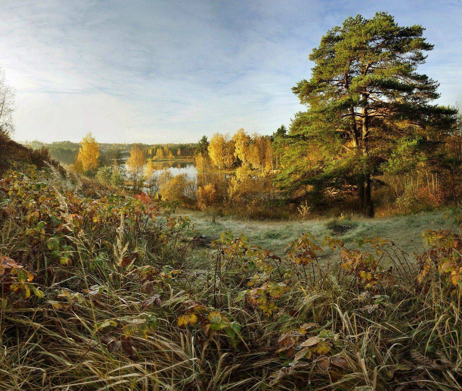 Золотая осень, Токсово, Петр Косых