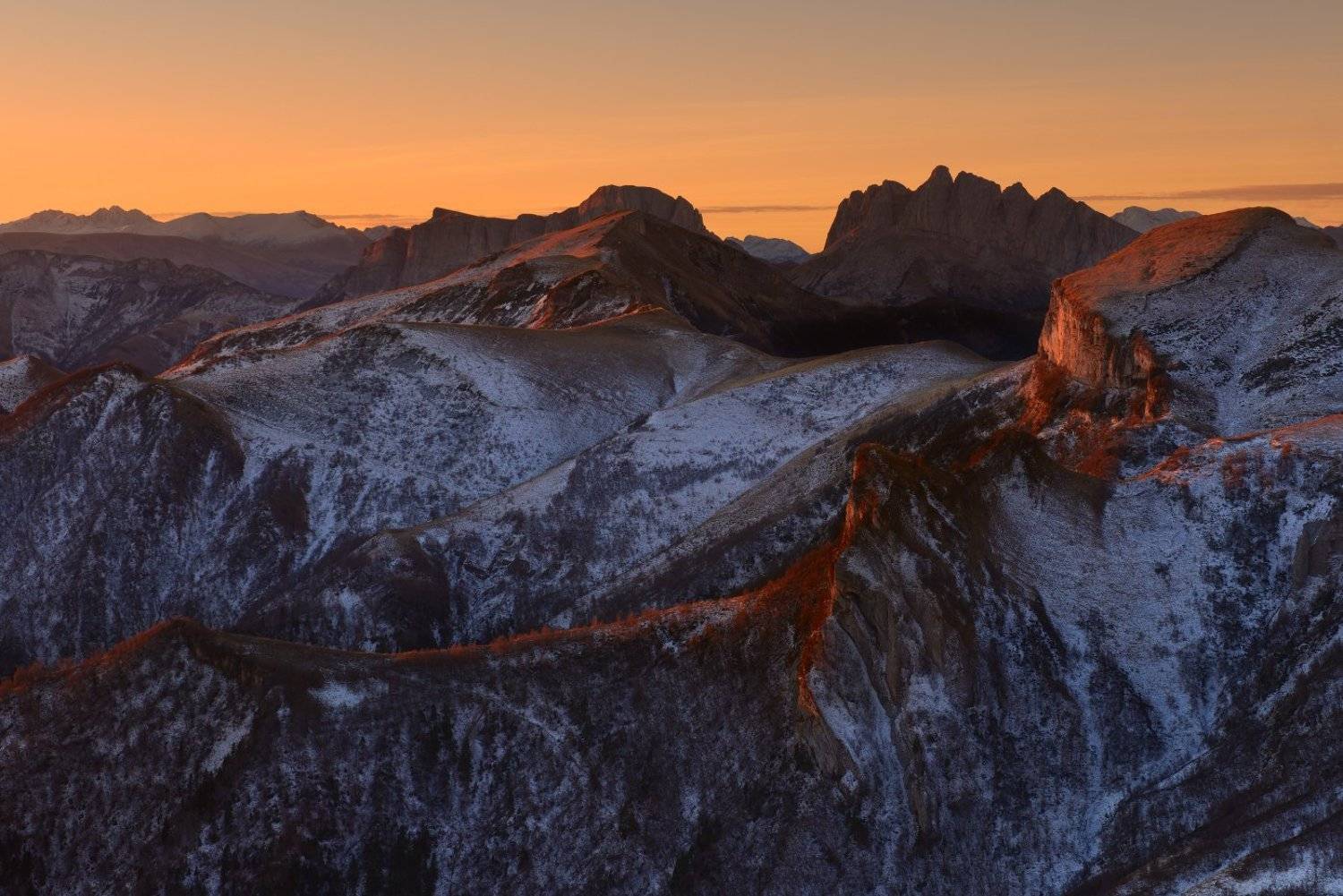 , Максим Евдокимов ( www.wildphotorus.ru )