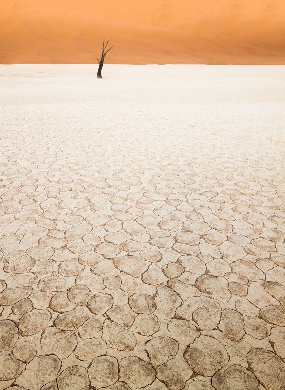 про ботанический сад... фото превью