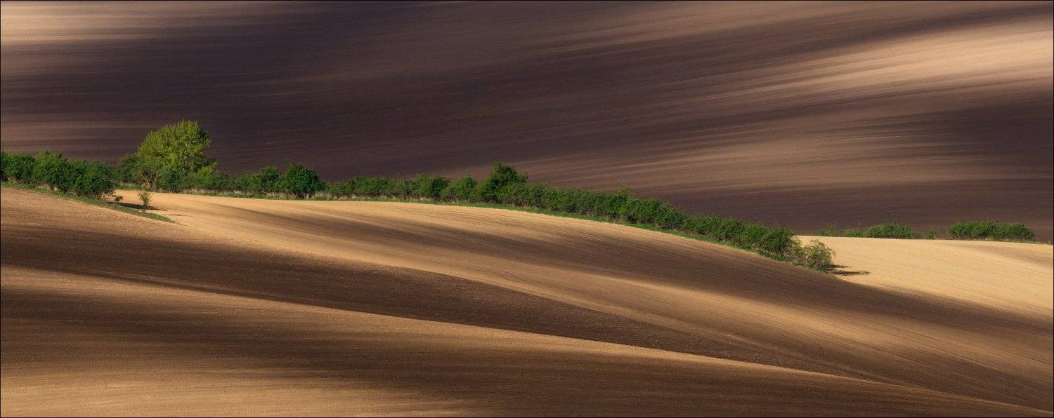 чехия, южная моравия, весна, линии, формы, свет, south moravian, morava, czech, Влад Соколовский