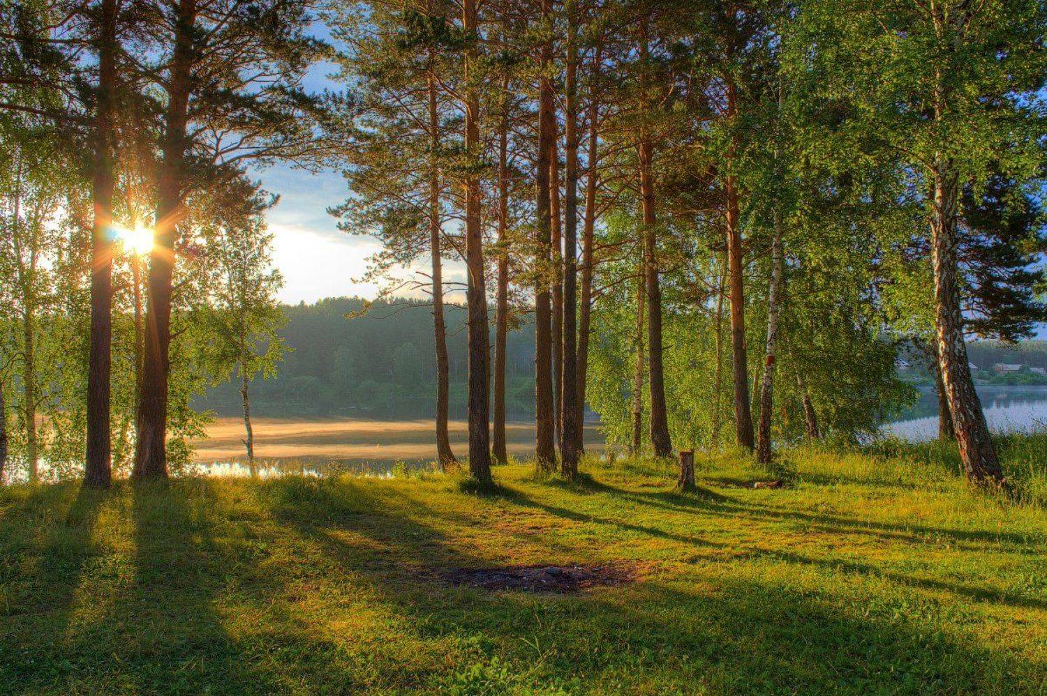 Вода, Деревья, Лес, Небо, Пейзаж, Природа, Рассвет, Река, Свет, Солнце, Тени, Трава, Утро, Артём Колупахин