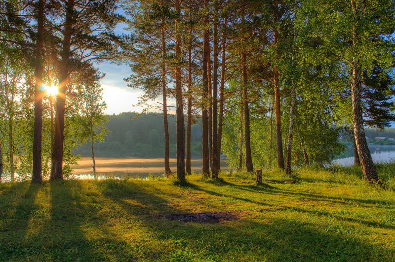 Вода, Деревья, Лес, Небо, Пейзаж, Природа, Рассвет, Река, Свет, Солнце, Тени, Трава, Утро Утренние тени фото превью