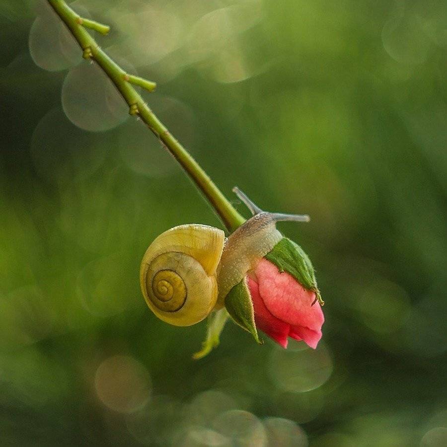, Pawel Plucinski