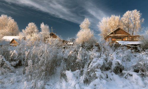 Морозный свет на задворках