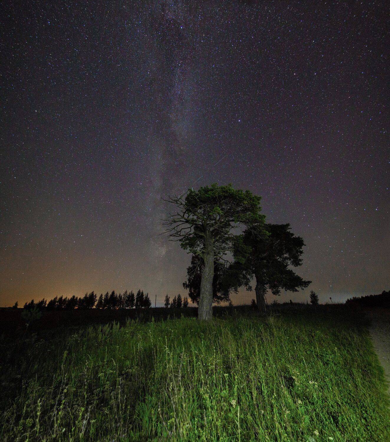 , Воробьёв Евгений