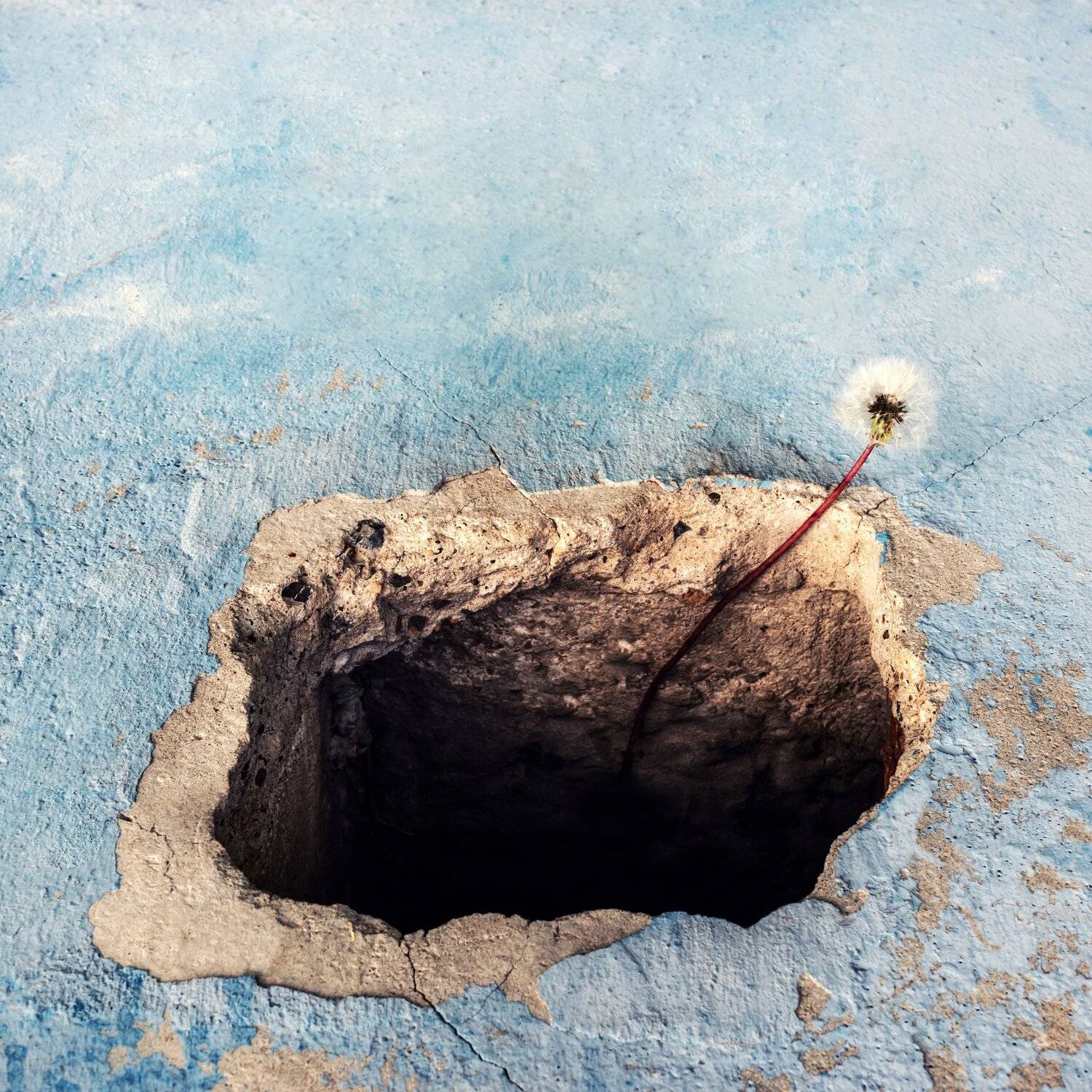 , Ольга Беккер